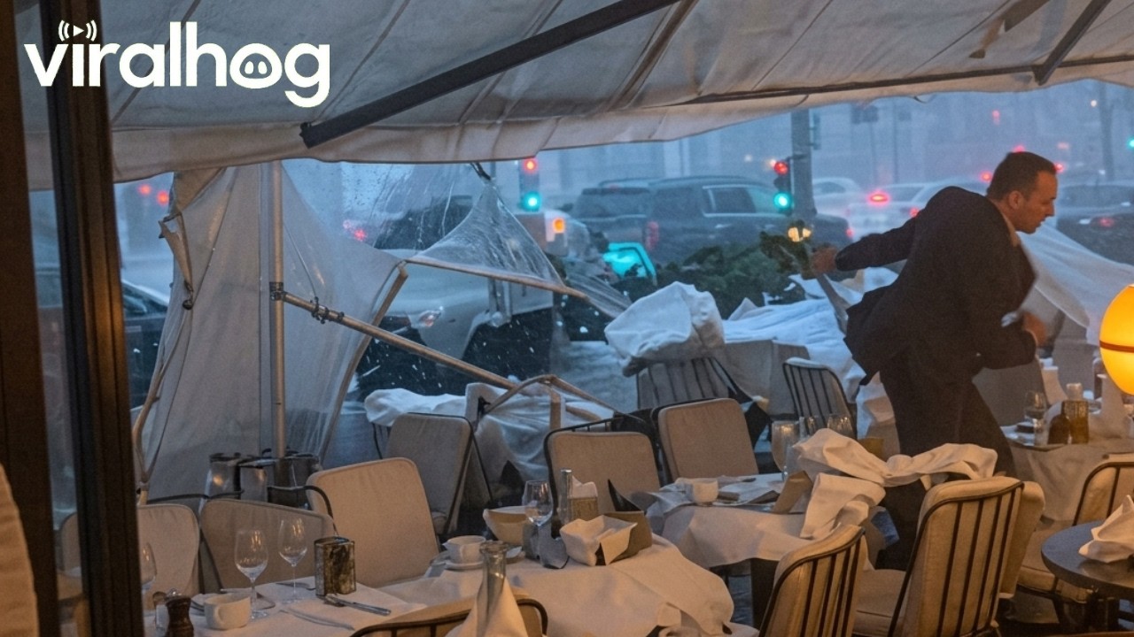Powerful Storm Rocks Restaurant in Paris || ViralHog
