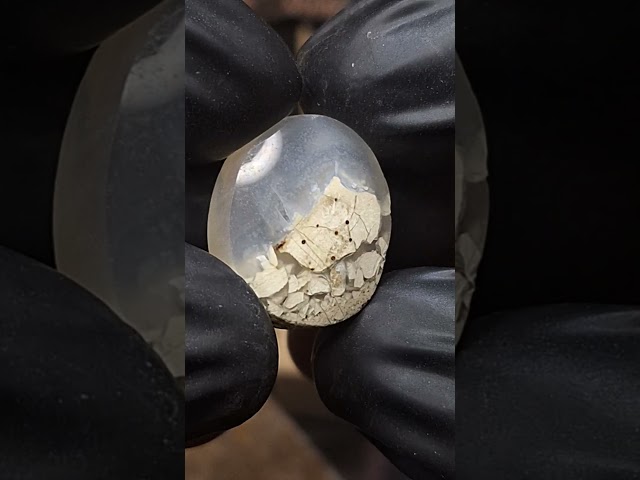 حجر عقيق مصور منظر طبيعي