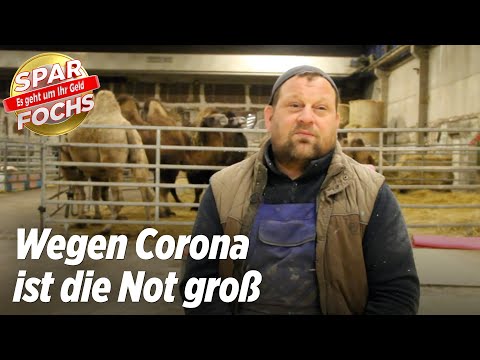 Wegen Corona: Zirkus-Direktor kämpft emotional um seine Tiere | Der Sparfochs