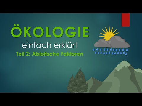 2. Abiotische Faktoren | ÖKOLOGIE einfach erklärt