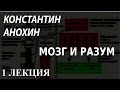 ACADEMIA. Константин Анохин. Мозг и разум. 1 лекция. Канал ...
