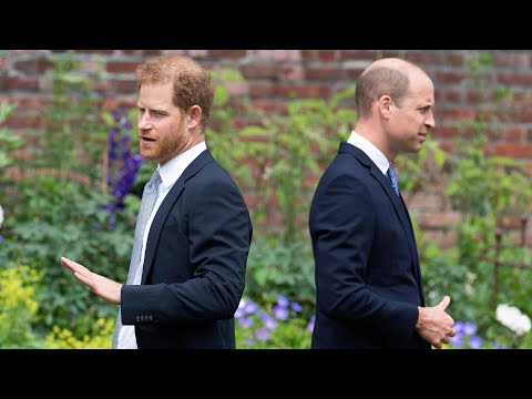 Prince William may consider reconciliation with Harry under ‘strict conditions’