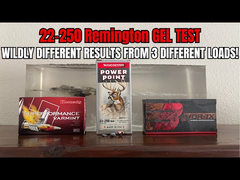 22-250 Gel Test: Barnes, Hornady, \u0026 Winchester Loads Evaluated!