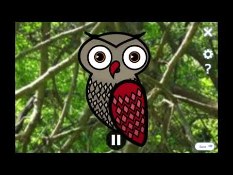 T4E/S2: First message of the owl