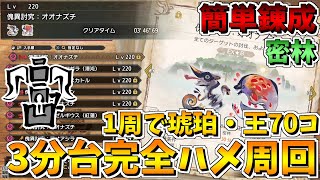 【MHRSB】# 24 ソロ救済の精気琥珀集めクエスト『ナズチバゼル』を運要素0で完全固定ハメ周回 in密林【ゆっくり実況】