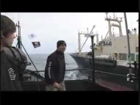 Video trailer för Whale Wars ~The Trailer