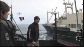 Whale Wars ~The Trailer