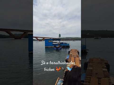 beira do rio grande, Iturama MG #pescaria #travel #turismo