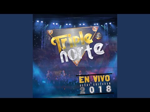 Tus Bellos Pechos (En Vivo Con Tuba)