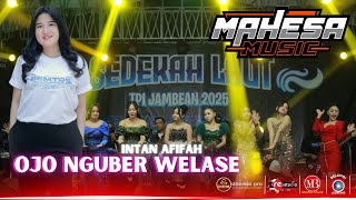 Download lagu OJO NGUBER  WELASE || INTAN AFIFAH  || MAHESA MUSIC || TPI JAMBEAN 2025 mp3