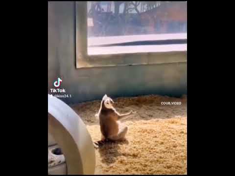 гармонии ищет))