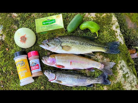 SPICY Rainbow Trout and Bass Catch n' Cook on a River!
