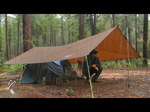 Solo Camping in Rain, New Tarp, Relaxing in tarp shelter, with my Dog, ASMR