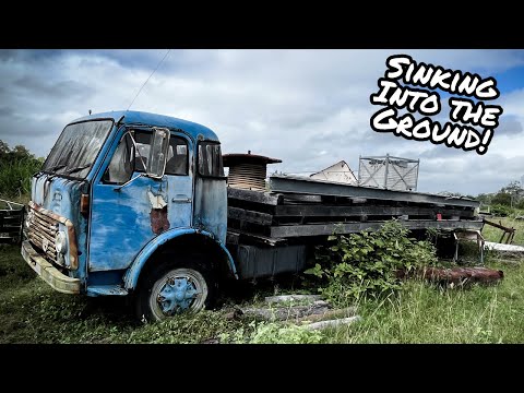 Will it START? Old Volvo Truck SITTING for 20 YEARS! 