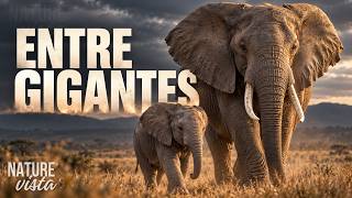 GRANDES MAMÍFEROS | El precio de ser gigante - Documental completo