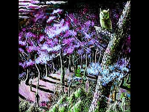 swampkill777 x akoge x xxn1ff type beat