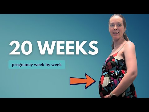 20 Weeks Pregnant 🤰 What to Expect: Changes for You & Baby Development