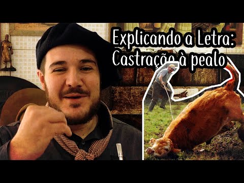 Explicando a Letra: Castração à Pealo - Linha Campeira #67