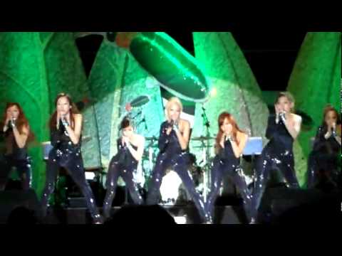 [F.cam] 110611 RaNia - Dr feel good Muju Firefly Festival