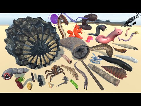 Real Worm, Monster Worm, Monster Sandworm, God Worm 3D Size Comparison