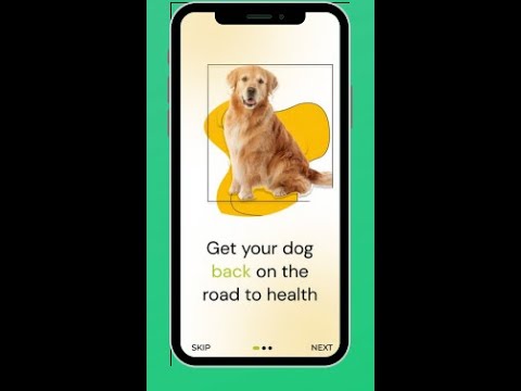 The Pet Rehab App | F6S