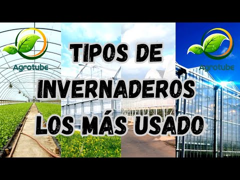 Tipos de Invernaderos, Lo Que No Sabias De Los Invernaderos, Invernaderos