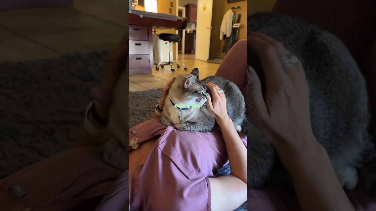 A day in the life of Leo