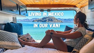 A DAY IN THE LIFE in BAJA MEXICO