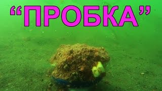 Приманка для карася при ловле на пробку