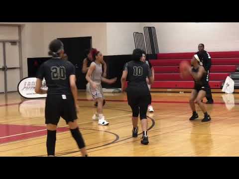 Highlights of Michigan Crossover over WI Playground 17U
