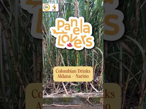 Panela Lovers 2026 | Capítulo "Colombian Drinks" | Aldana, Nariño