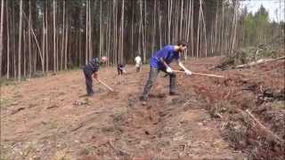 preview picture of video 'Подготовка за залесяването - Локорско, България 02-04-2014'