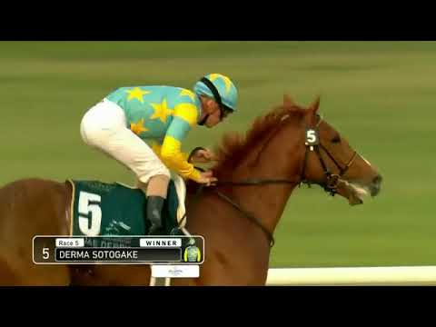 2023 DRC MEYDAN UAE Derby