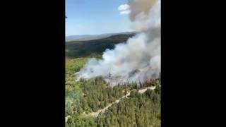 San Donato in Poggio, incendio nel bosco