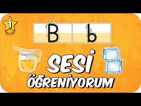 B Sesi Öğretimi 🐟 Okunuşu ve Yazılışı🎈1.Sınıf #2025