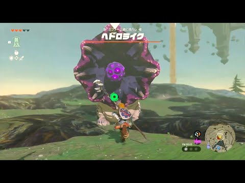 【Zelda:Tears of the Kingdom】「ヘドロライク」戦/No Damage - Sludge Like