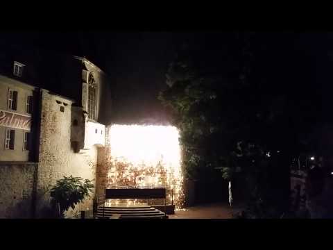 Moritzburg Halle - Feuerwerk - Im Land der Palme