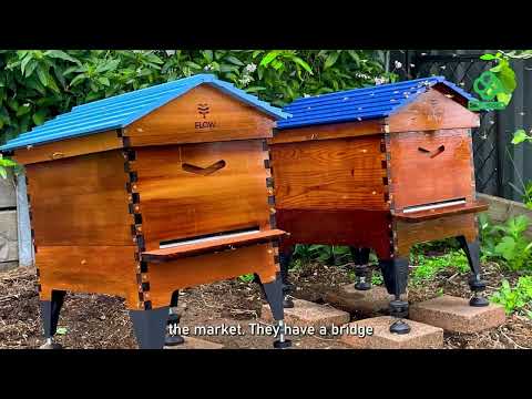 Attain Beekeeping Self-Sufficiency: Apiary Management Guide
