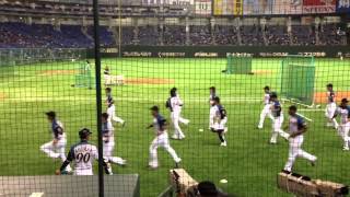 2014.4.23F-H @東京ドーム  日本ハム試合前コンディショニング