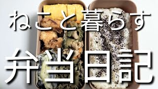 ねこと暮らす前日作り置き弁当日記です