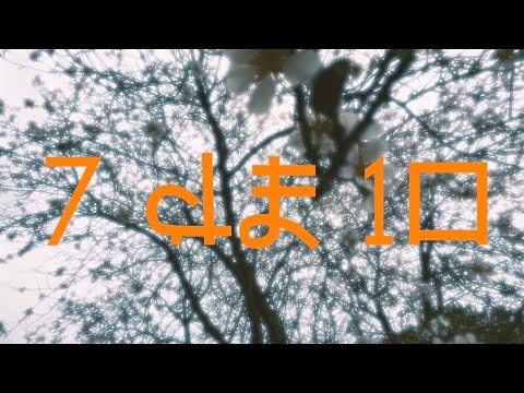 7/10 | ElGalo FT Paquito Slim | 10 Project