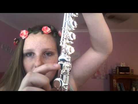 Jupiter JFL-507S Flute review...