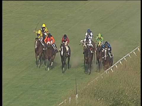 Galoppo 22/03/2017 - 3ª corsa