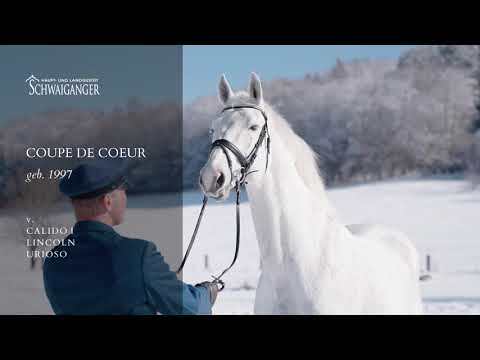 COUPE DE COEUR - Haupt- und Landgestüt Schwaiganger
