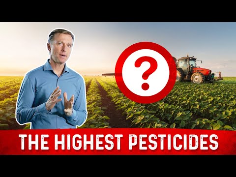 Ignore Counting Vegetable Carbs On Your Keto Diet Dr Berg