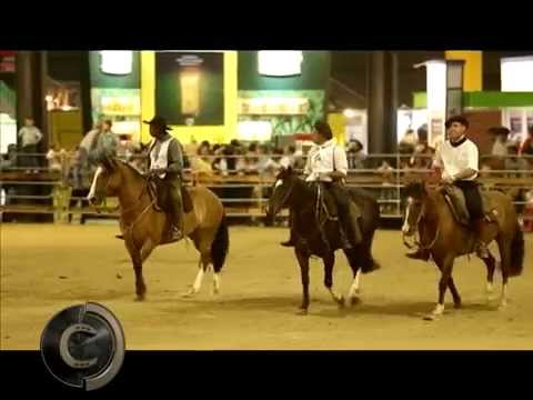 FICCC 2015 Argentina/Golden Brake