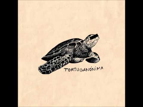 Tortuganónima - Margen de Error