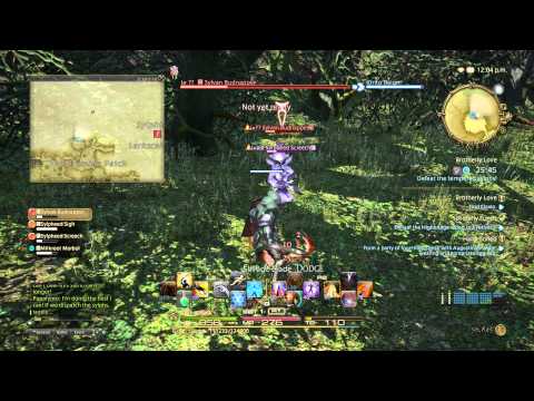 Brotherly Love! Final Fantasy XIV: A Realm Reborn Gameplay Walkthrough Part 65(PS4)