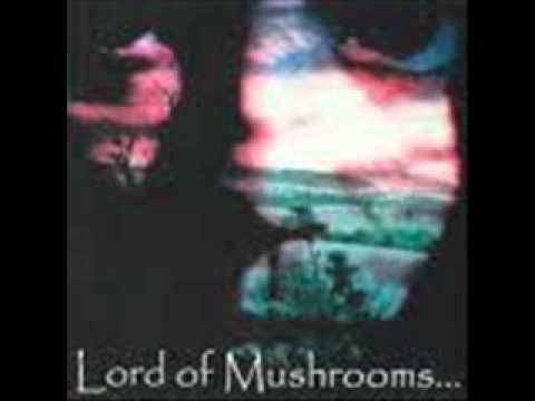 LORD OF MUSHROOMS - 05 - Collision