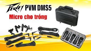 Video thumbnail for Micro trống Peavey PVM DMS5. by CÔNG TY NHẠC VIỆT